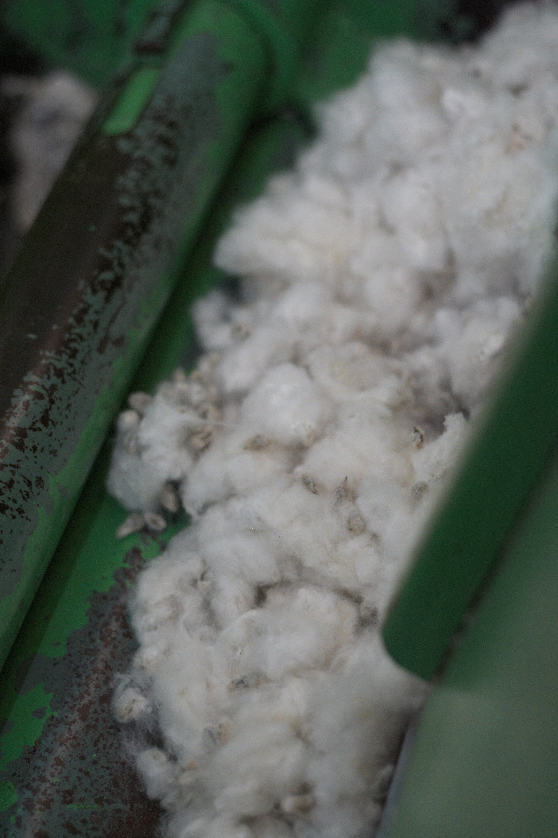 Cotton bolls arrive at the mill